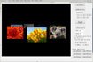 3D Carousel SDK ActiveX Control