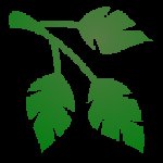 AutoPlant Mod