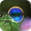 Bubbles theme