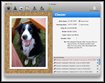 Clarus for Mac OS X