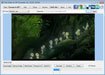 Cute Video to GIF Converter