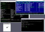 Cygwin