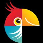Movavi Photo Studio