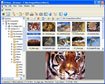 NConvert (64-bit) for Linux