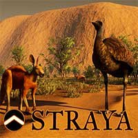 Straya