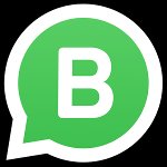 WhatsApp Business cho Android