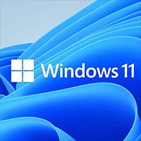 Windows 11 Installation Assistant